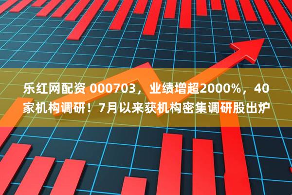 乐红网配资 000703,业绩增超2000%,40家机构调研!7月以来获机构密集调研股出炉